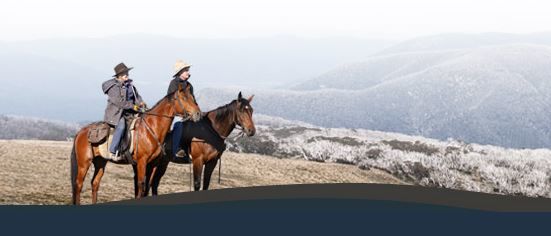 Bogong Horseback Adventures